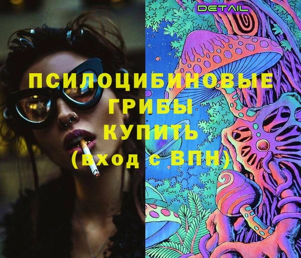 гашик Переславль-Залесский